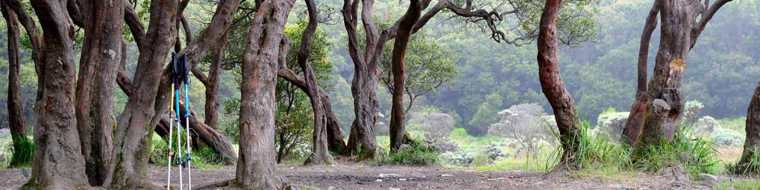 Header_Tentang Kisah2