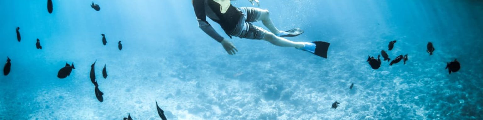 WhatsApp Image 2025-11-25 at 16.58.08 (1)